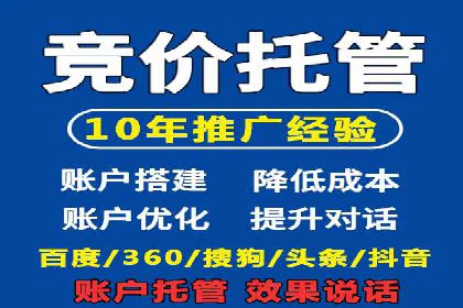 某行业SEM投放效果显著案例分享